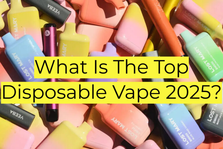 What-Is-The-Top-Disposable-Vape-2025